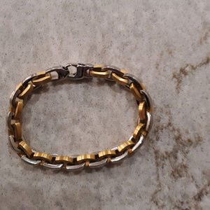 Men's Two Tone Stainless Steel Horseshoe Chain